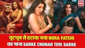 Nora Fatehi Song Controversy( Source: Social Media)