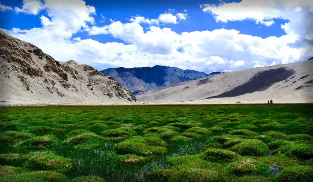 hidden paradise in India (social media)
