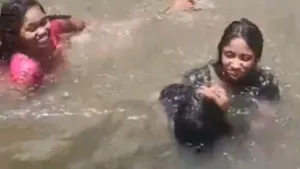 Andhra Pradesh Waterfall Drowning Incident