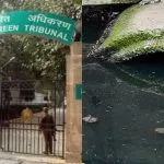 NGT Slams DJB Over Manhole Maintenance