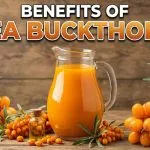 Benefits of Sea Buckthorn
