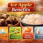 Ice Apple Benefits