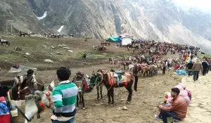 Kedarnath Stay Guide