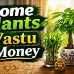 Home Plants Vastu Money
