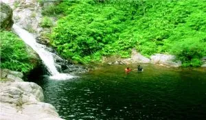5 Hidden Hill Stations in South India