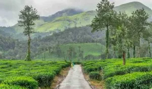 5 Hidden Hill Stations in South India