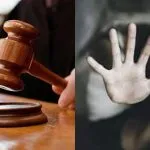 Delhi HC Judgment Sexual Assault of Stepdaughters