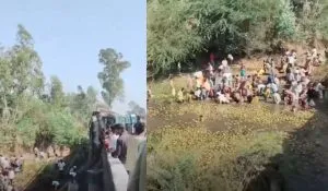 Coconut Truck Accident Viral Video