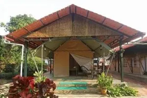 Karnataka Sexual Assault