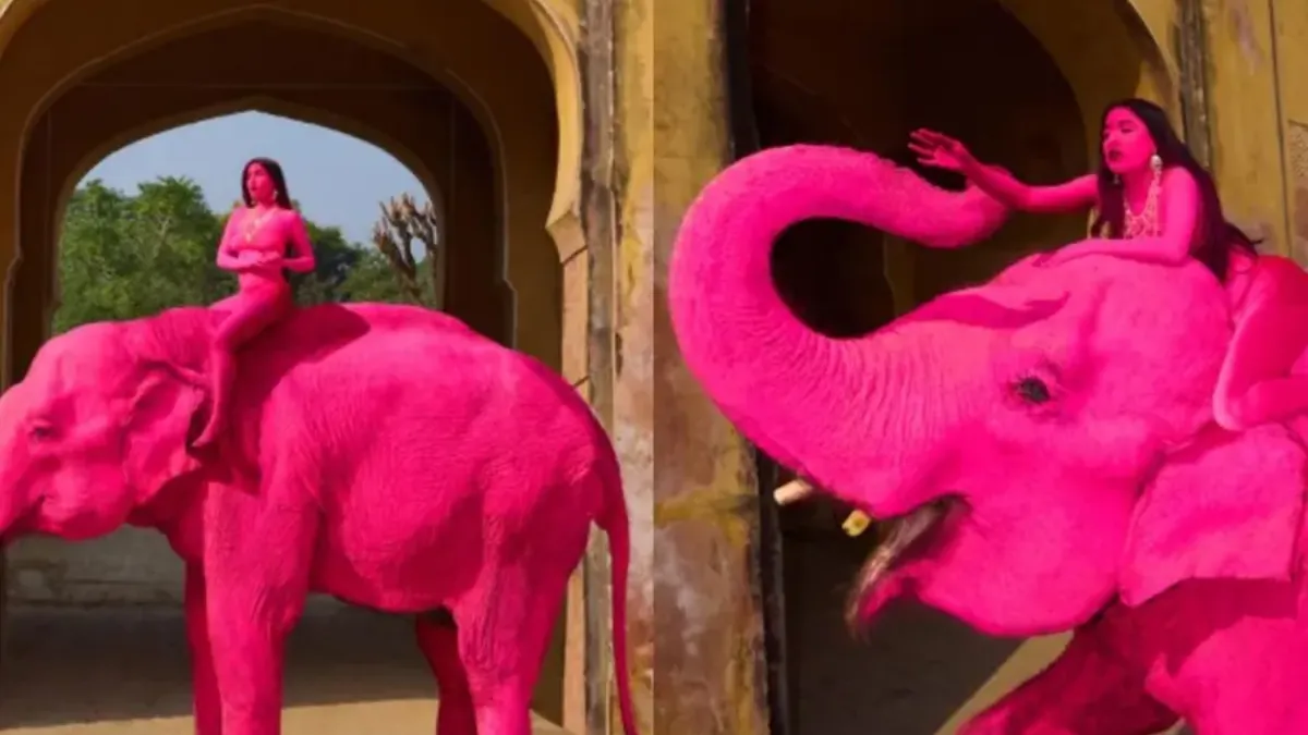Pink Elephant Controversy in Jaipur