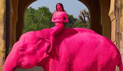 Pink Elephant Controversy in Jaipur