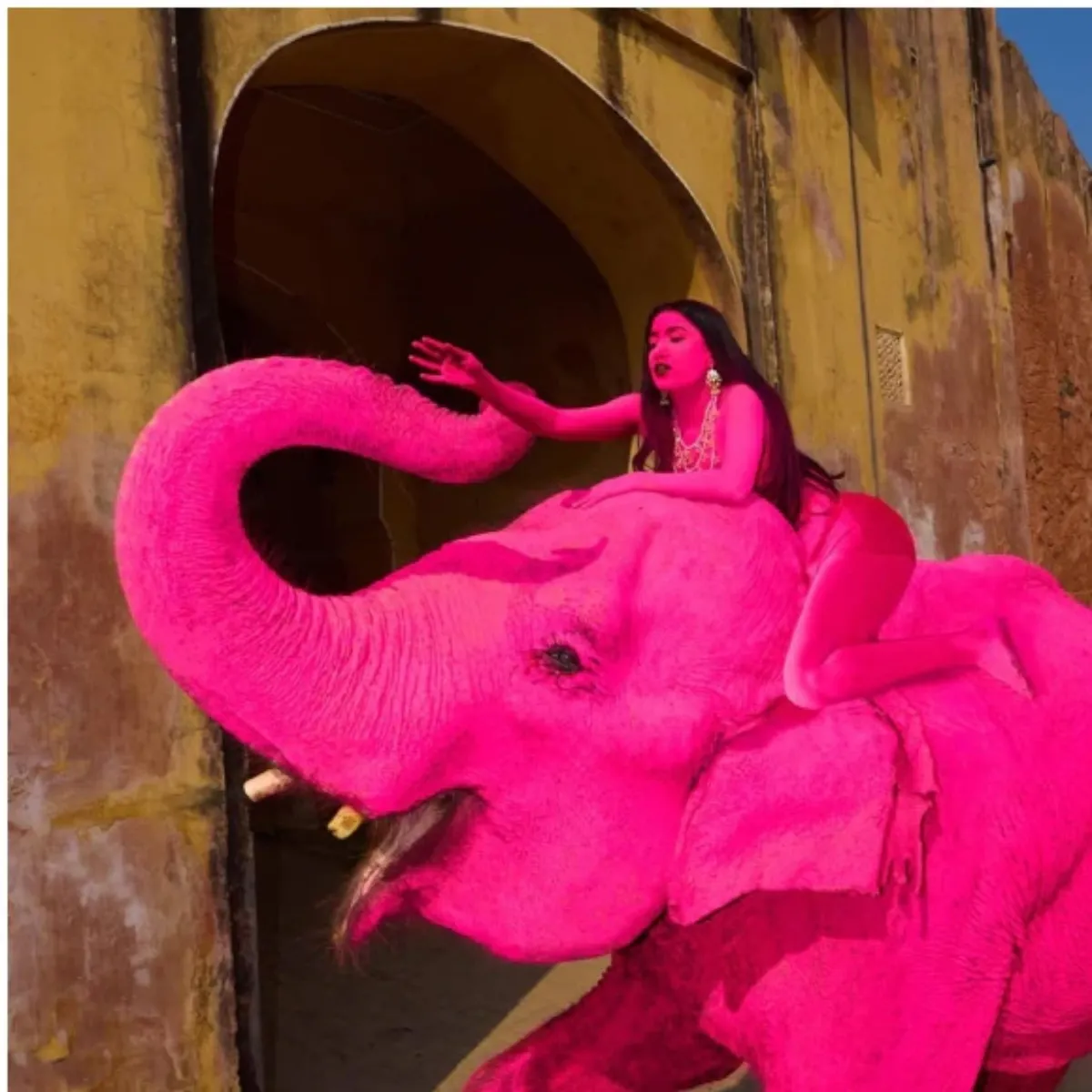 Pink Elephant Controversy in Jaipur