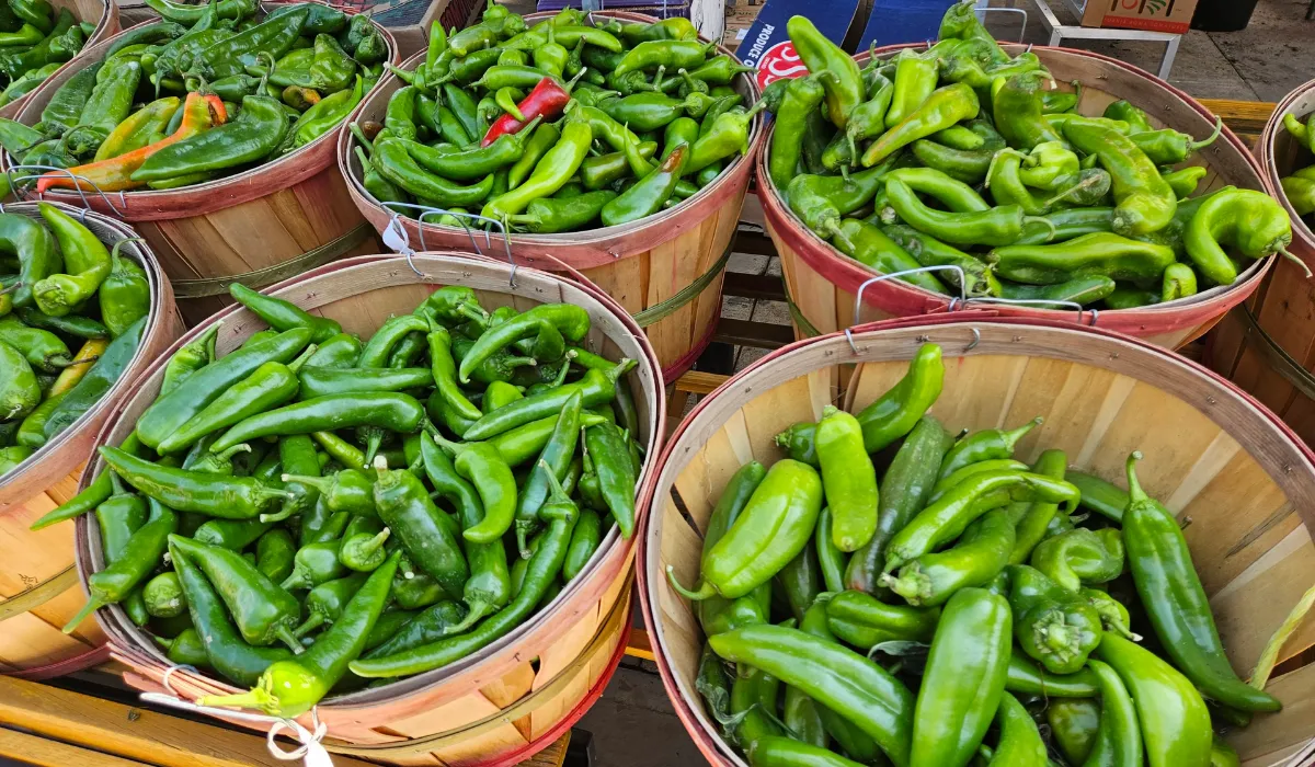 Green Chilli Store Ideas