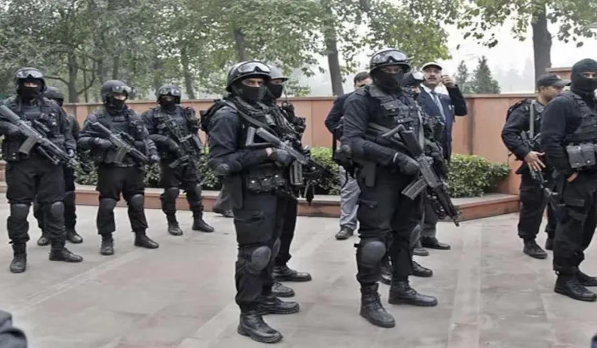 What is Z Plus Security