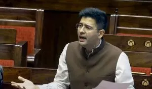 Reasons For Action Against Raghav Chaddha