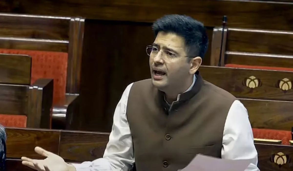 Reasons For Action Against Raghav Chaddha