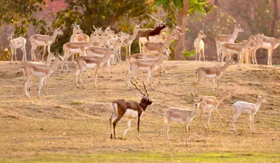 Chhattisgarh News