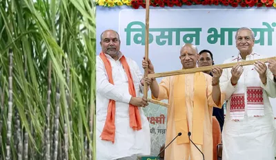 Uttar Pradesh News