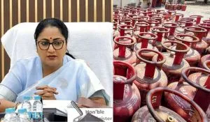 LPG Government Action Delhi