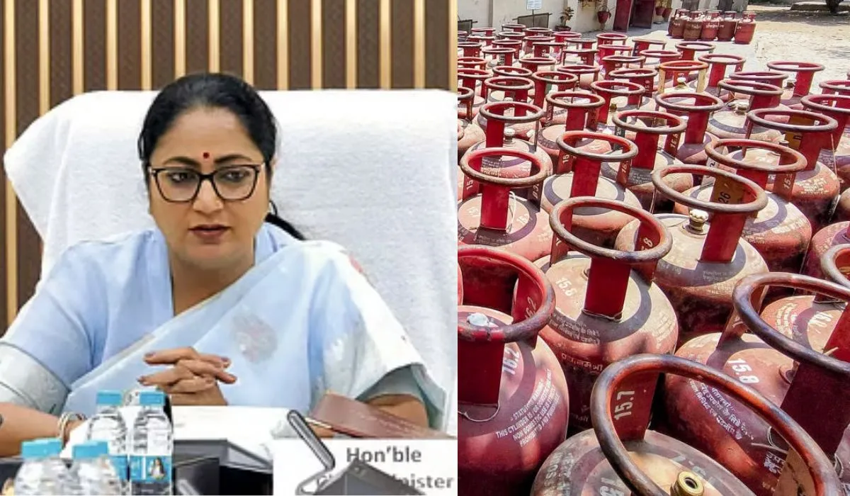 LPG Government Action Delhi