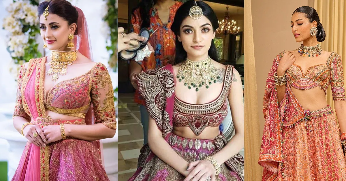 Bridal Blouse Designs 2026( Source: Social Media)