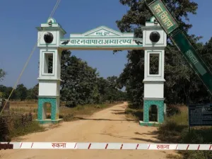 Vishnu Deo Sai Chhattisgarh environment Success