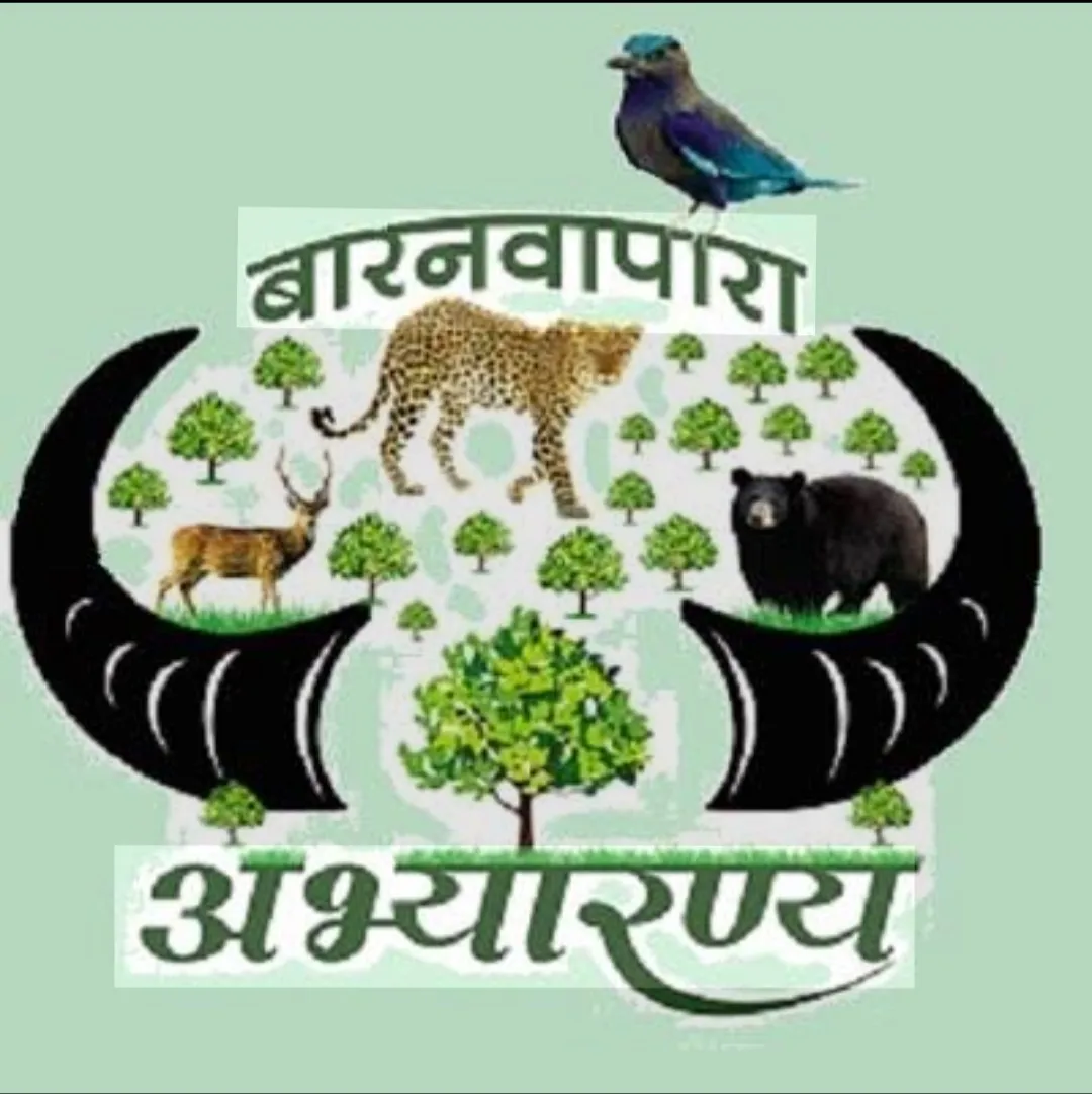 Vishnu Deo Sai Chhattisgarh environment Success