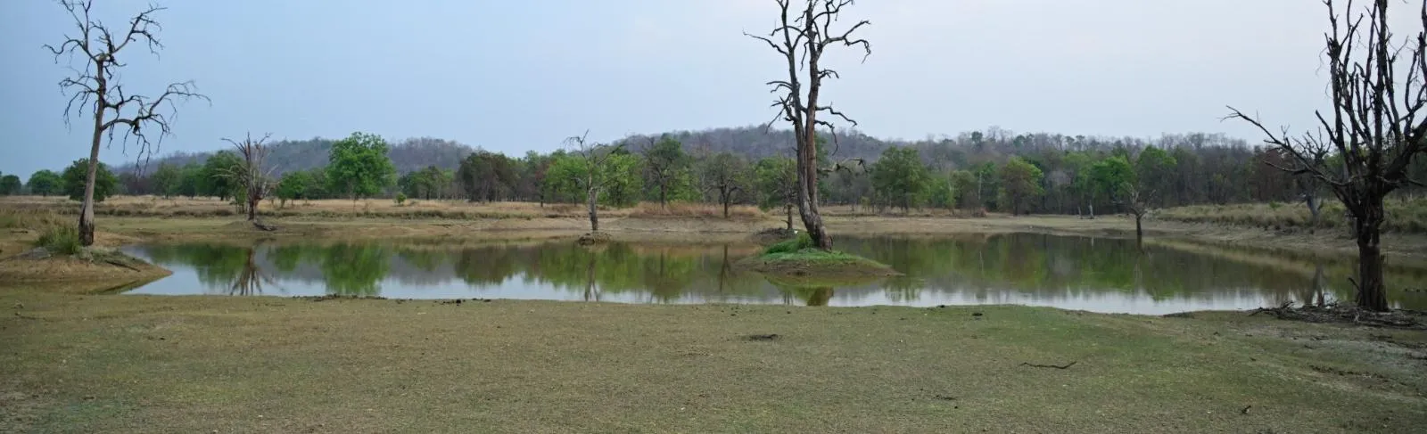 Chhattisgarh Wildlife Water Management