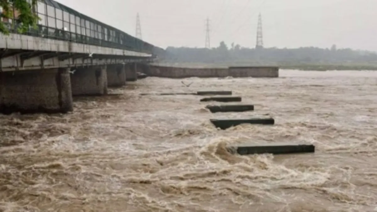 Yamuna Flood News