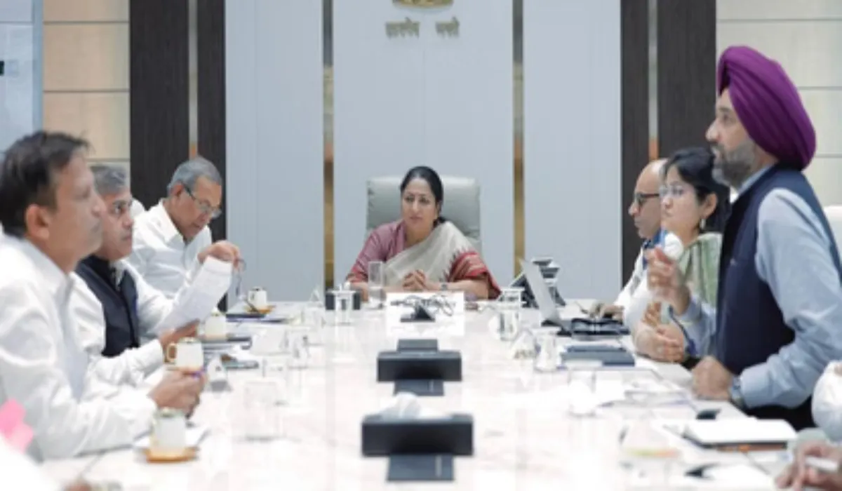 Developmental Works In Delhi (social media)
