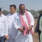 Pachlana Gaushala Cow Deaths