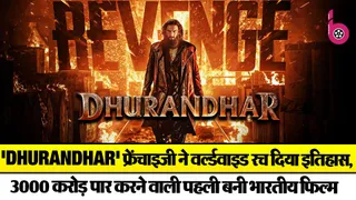 Dhurandhar 2 Box Office( Source: Social Media)
