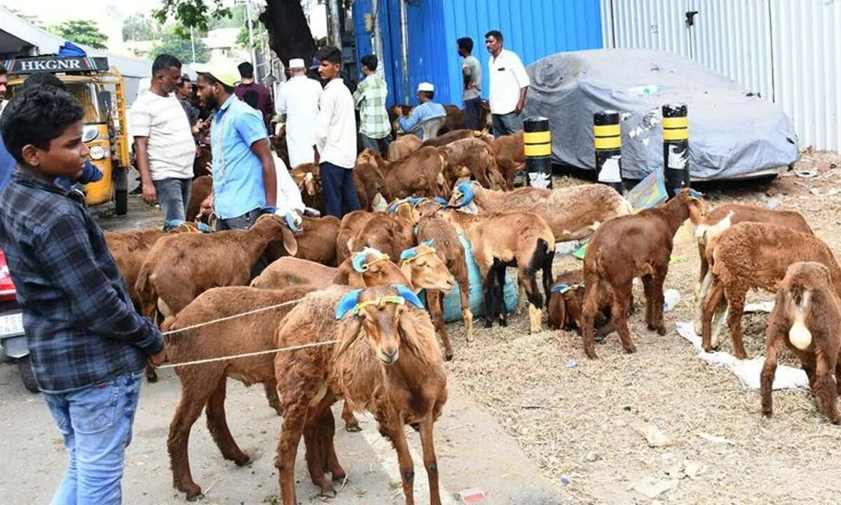 High Alert on Bakrid