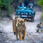 Chhattisgarh Eco-Tourism Development