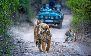 Chhattisgarh Eco-Tourism Development