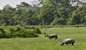 Delhi to assam route