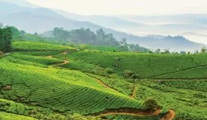 Hidden Gems in Assam