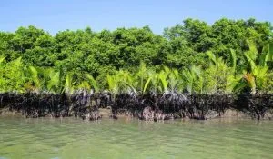 Places to Visit in West Bengal