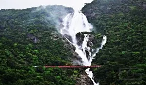 goa travel places for couples and friends