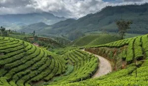 seasonal tourism Ideas