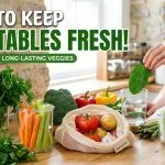 How to Keep Vegetables Fresh