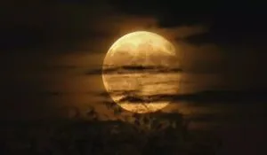 Blue Moon Meaning