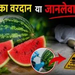 Watermelon Eating Warning in Summers