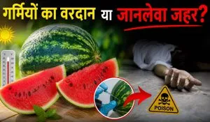 Watermelon Eating Warning in Summers