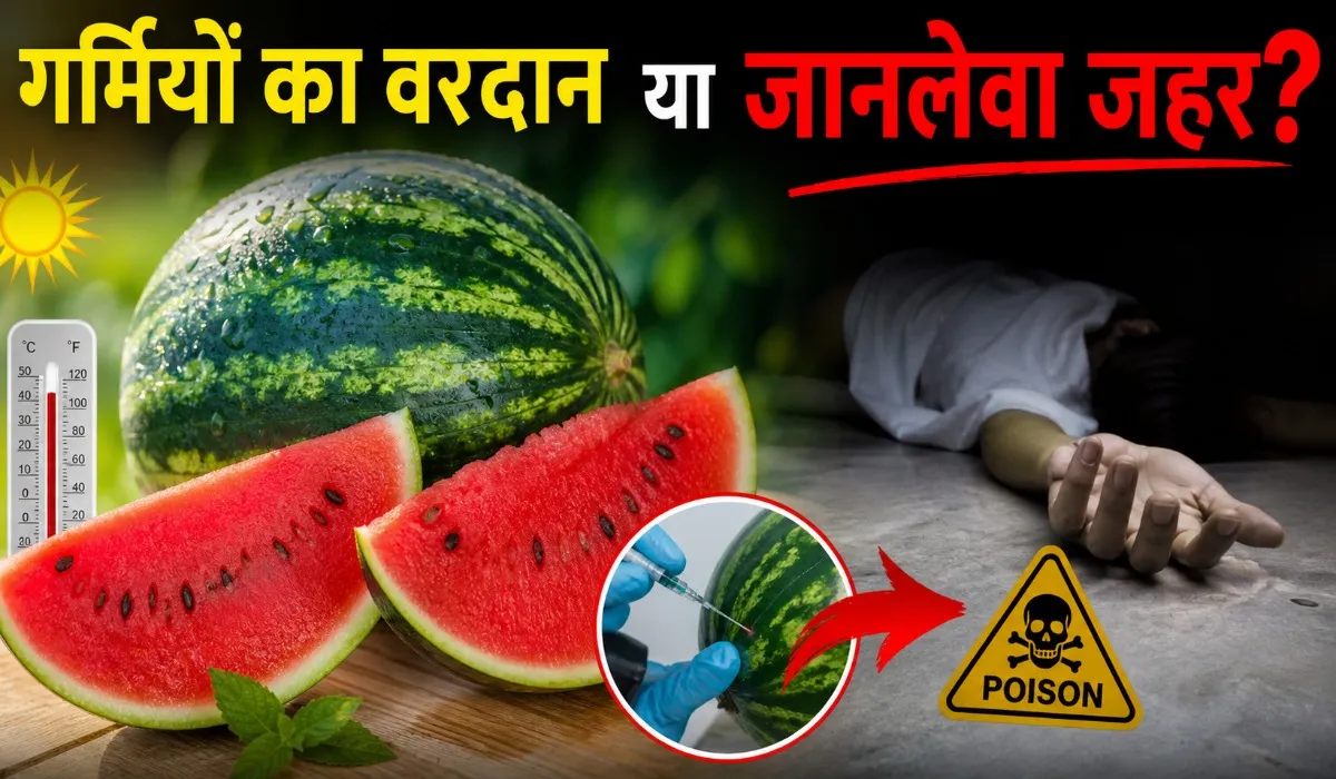 Watermelon Eating Warning in Summers
