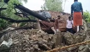 Kaushambi Storm Havoc