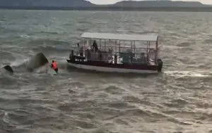 Jabalpur Cruise Accident Update