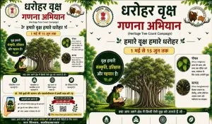 Chhattisgarh News