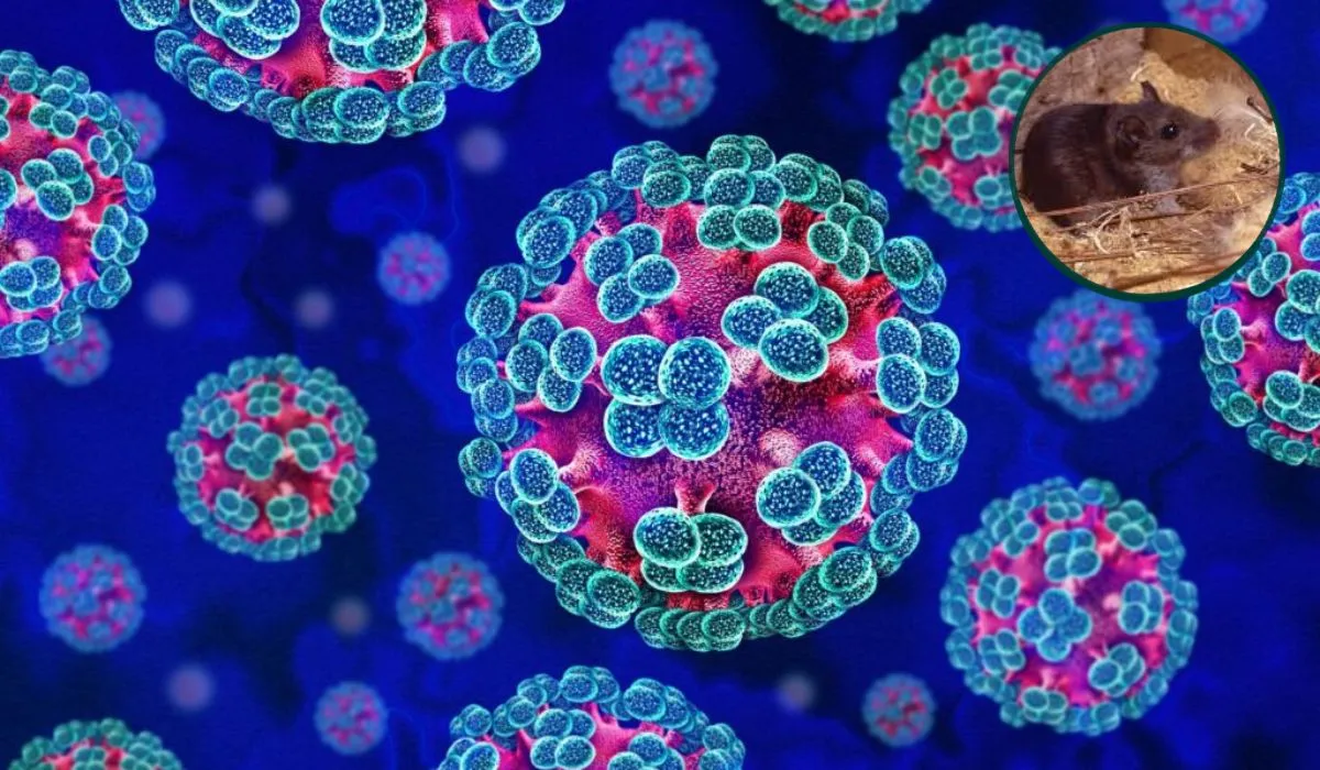 What is Hantavirus