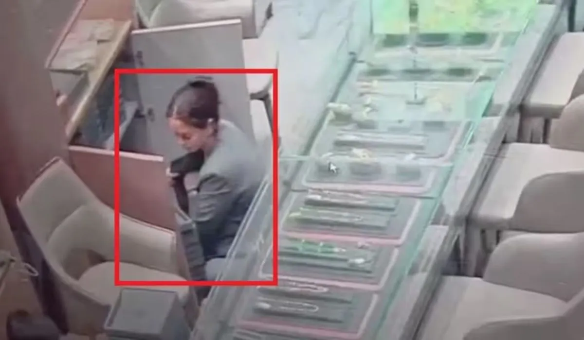 Ahmedabad Jewellery Theft(source: S-M)